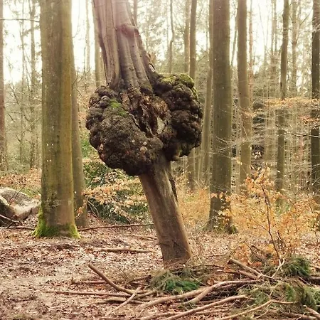 Le Chant De L Aisne Дом отдыха